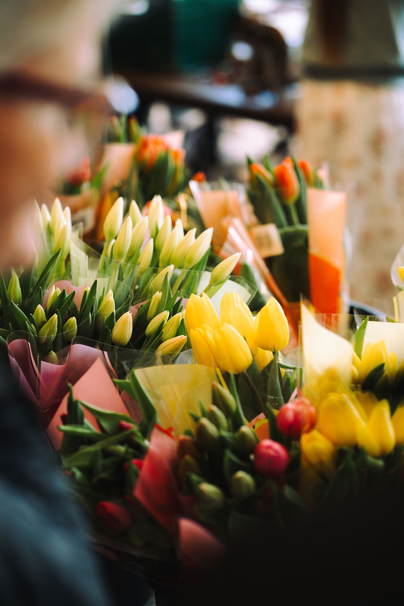 Tulipes de saison